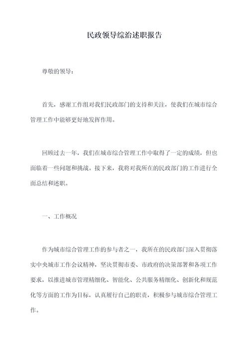 民政领导综治述职报告