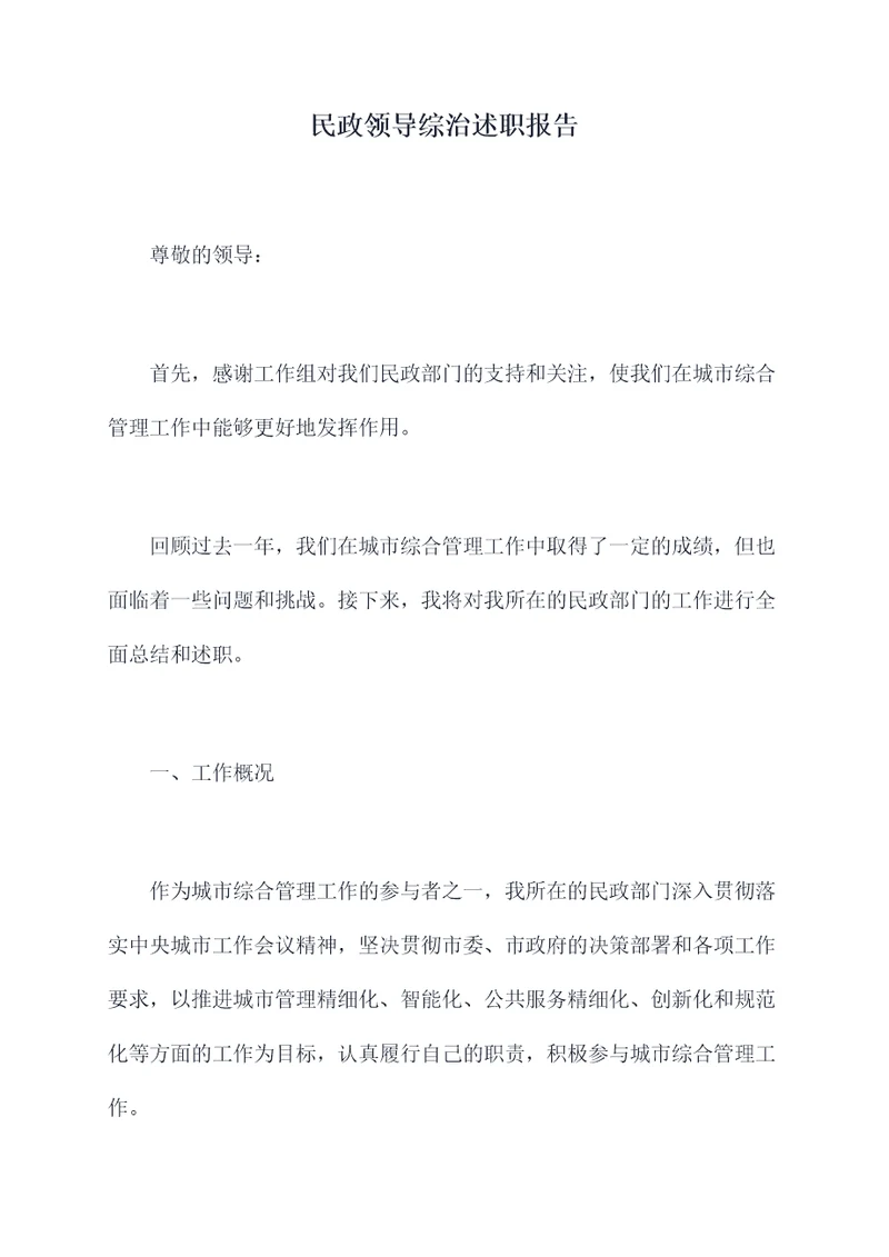 民政领导综治述职报告