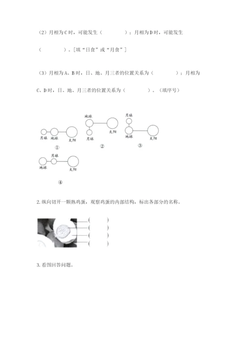教科版三年级下册科学期末测试卷附答案（培优b卷）.docx