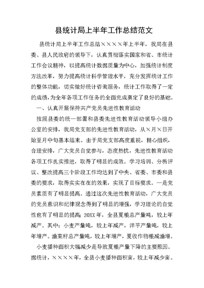 县统计局上半年工作总结范文3
