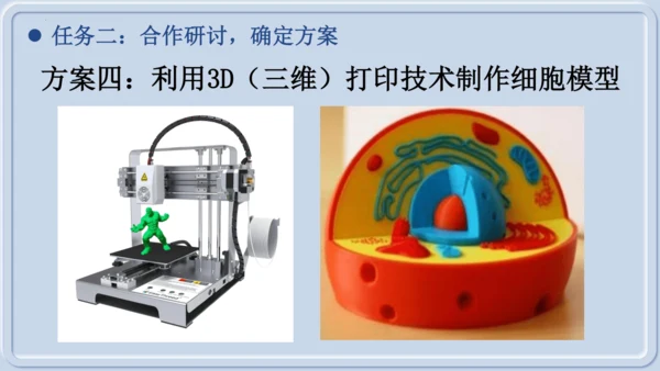 综合实践项目1制作细胞模型（课件）（人教版2024）-【跨学科实践】七年级生物上册跨学科实践备课包（