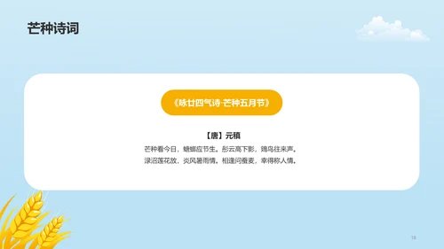 黄色插画二十四节气芒种科普介绍PPT模板