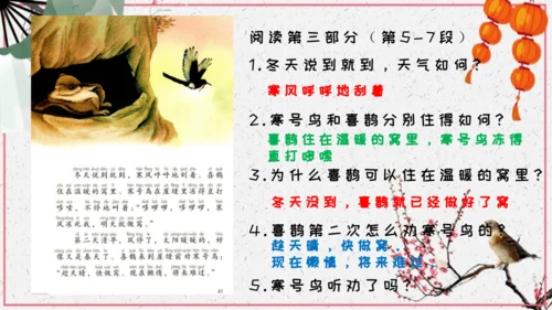 第13课《寒号鸟》课件