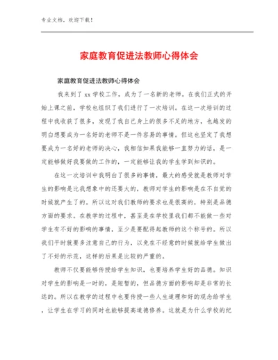 2024家庭教育促进法教师心得体会例文21篇.docx