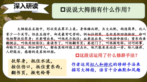 22 手指 课件