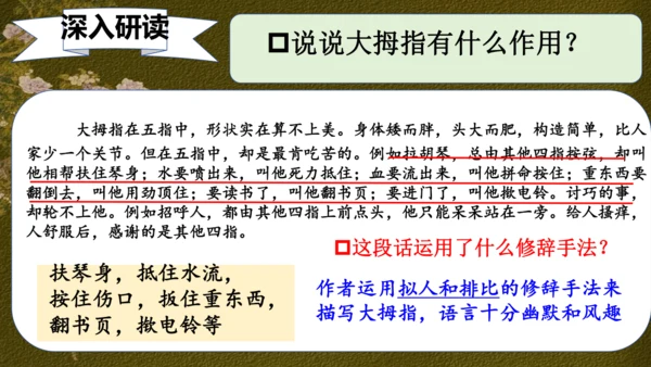 22 手指 课件