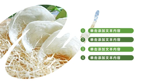 养身燕窝天然燕窝补品健康养生PPT模板新