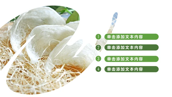 养身燕窝天然燕窝补品健康养生PPT模板新