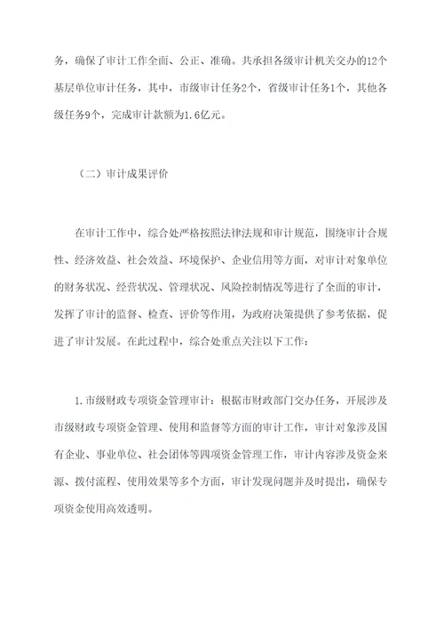 市审计局个人述职报告