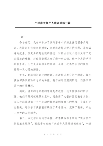 小学班主任个人培训总结三篇.docx