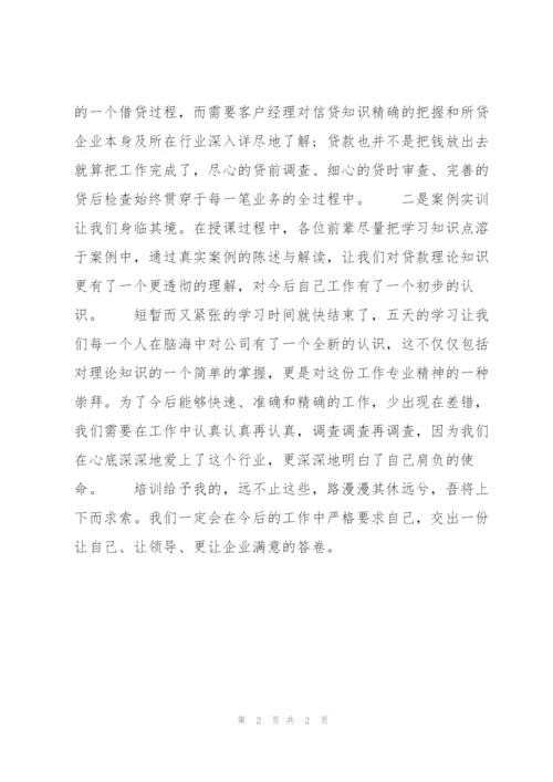 投资担保公司岗前培训学习总结700字范文.docx