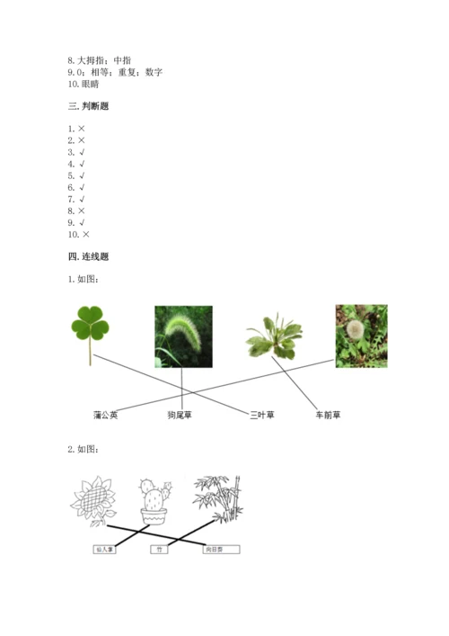 教科版一年级上册科学期末测试卷附参考答案（研优卷）.docx