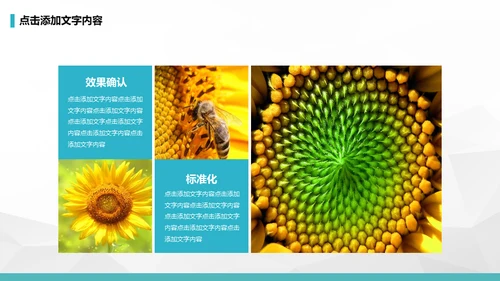 公司早会晨会例会通用PPT模板