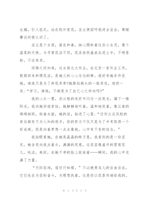 总是想起你作文5篇.docx