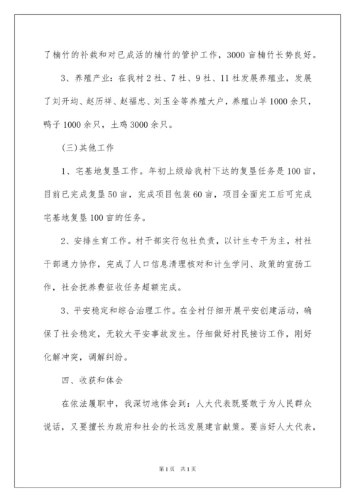 2022乡镇人大代表述职报告.docx