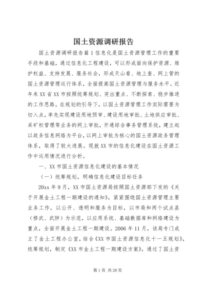 国土资源调研报告.docx