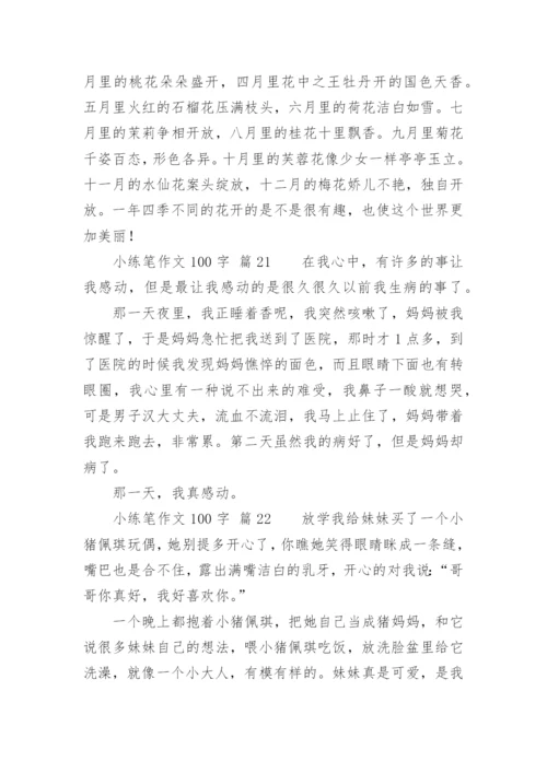 小练笔作文100字.docx