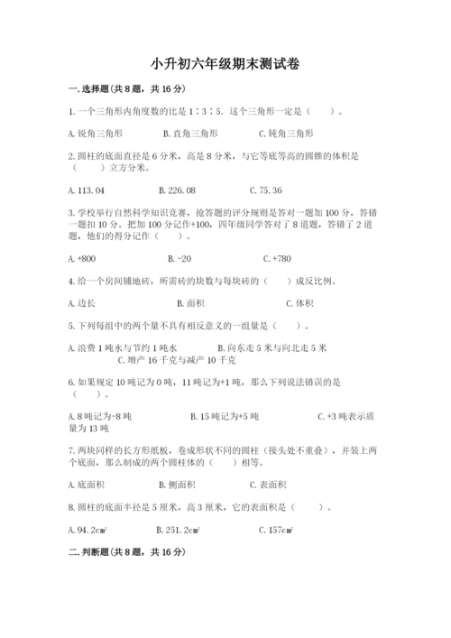 小升初六年级期末测试卷带答案（培优a卷）.docx