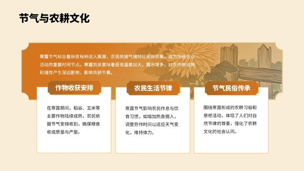 橙色中国风寒露节气PPT模板