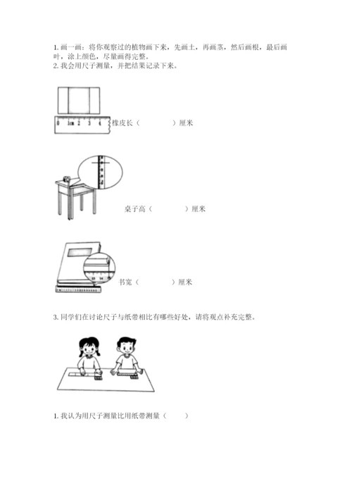 教科版一年级上册科学期末测试卷及参考答案（研优卷）.docx