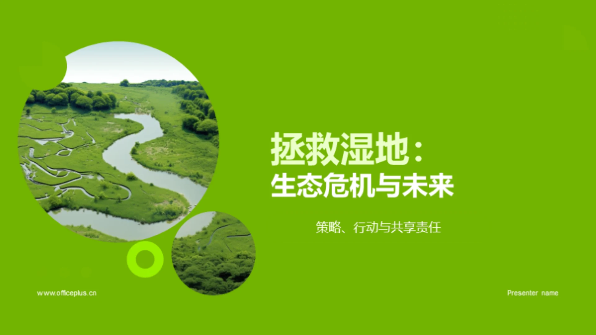 拯救湿地：生态危机与未来