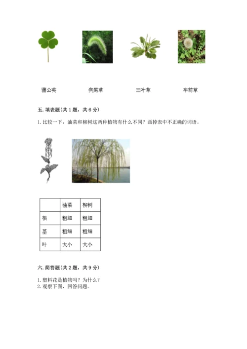 教科版科学一年级上册第一单元《植物》测试卷（必刷）word版.docx