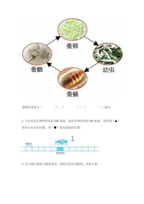 教科版三年级下册科学期末测试卷完美版.docx