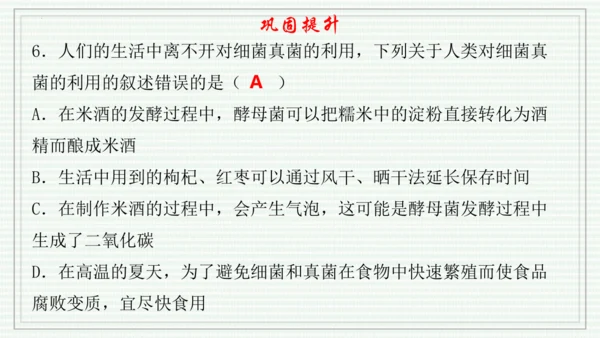 综合实践项目二  利用细菌或真菌制作发酵食品（课件）-【新教材】七年级生物上学期同步课件 （2024