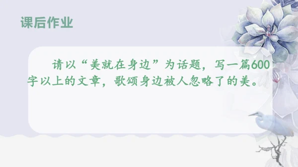 《1 白鹭》课件