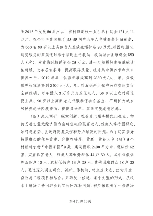 县社会养老服务体系建设工作调研报告.docx