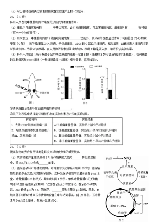 2022北京西城高三一模生物（教师版）