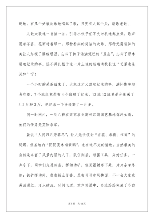 高中社会实践报告_19.docx