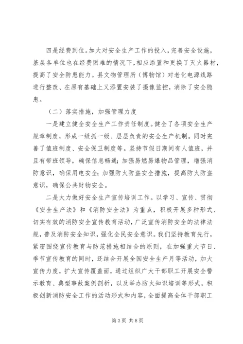 文广局XX年安全生产工作总结及XX年安全工作计划.docx