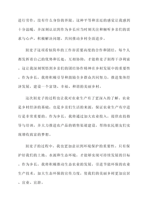 乡长割麦子的感言