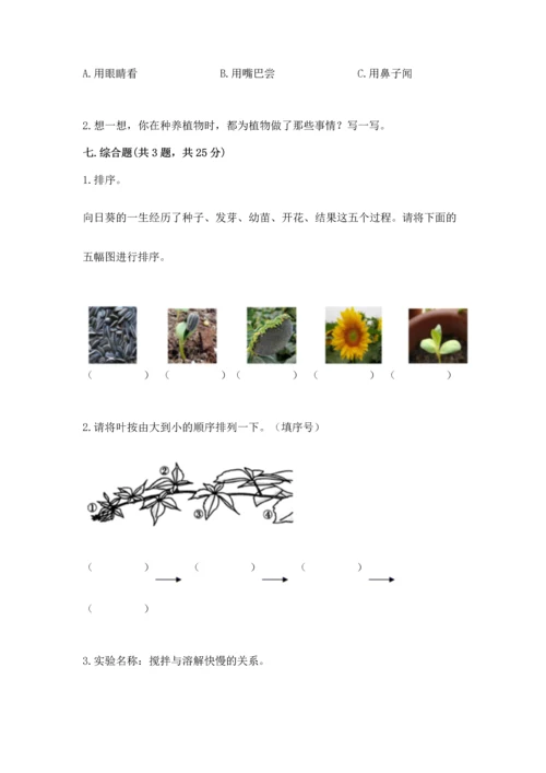 教科版科学一年级上册第一单元《植物》测试卷及答案（夺冠系列）.docx