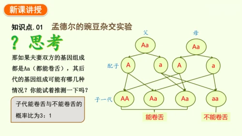 7.2.3基因的显性和隐性-八年级生物人教版下学期同步精品课件(共36张PPT)