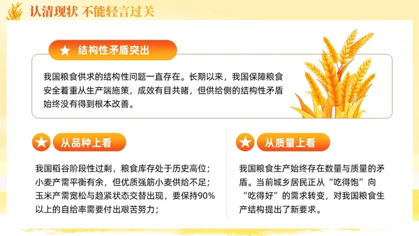 大学生形势与政策保障粮食安全的中国策ppt课件党建