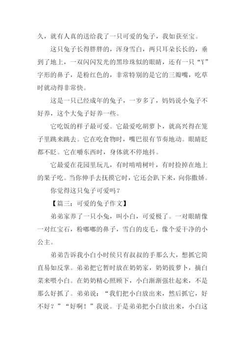 可爱的兔子作文300字.docx