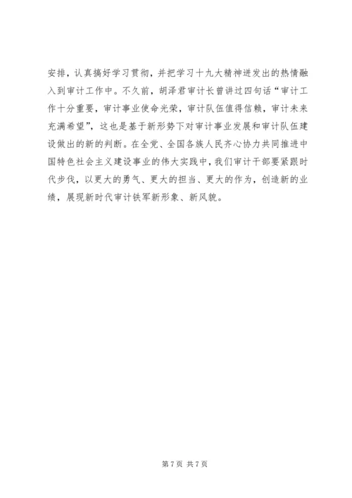 基层审计局长十九大学习体会.docx