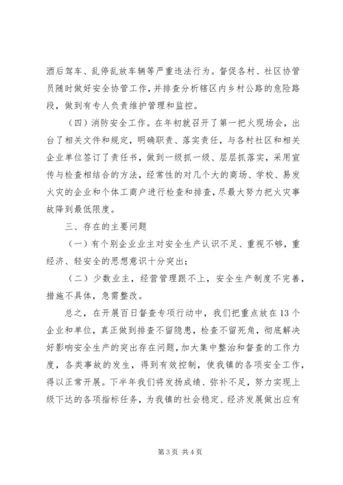 乡镇安全生产百日督查专项行动工作总结.docx