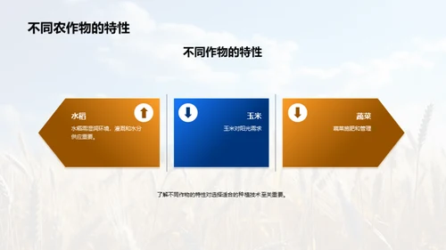 农业种植：智慧之选