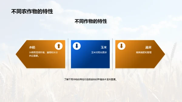 农业种植：智慧之选