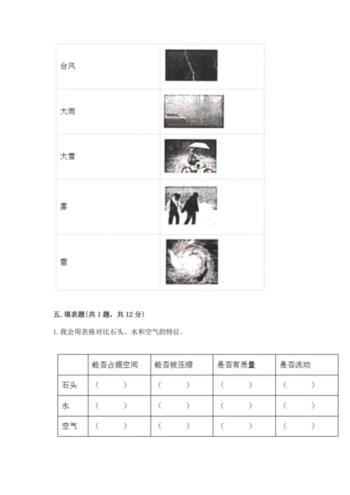 教科版三年级上册科学期末测试卷【轻巧夺冠】.docx