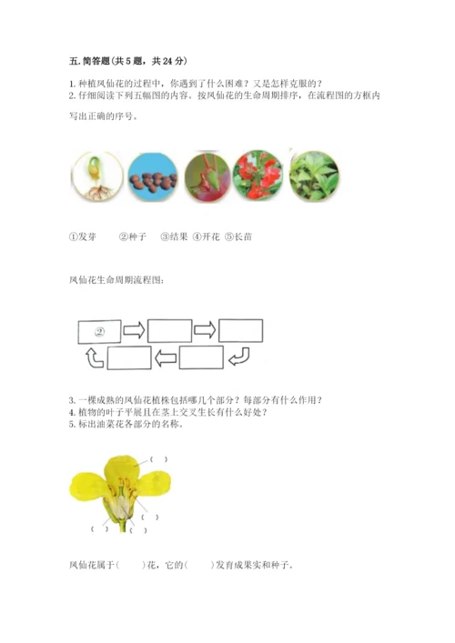 科学四年级下册第一单元《植物的生长变化》测试卷【必刷】.docx