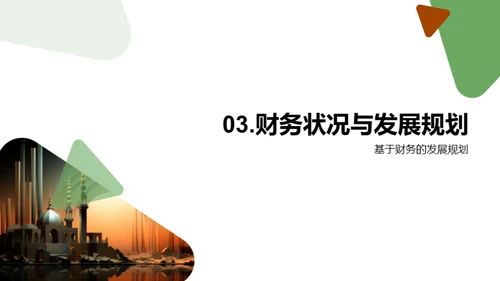 财务回顾与未来规划