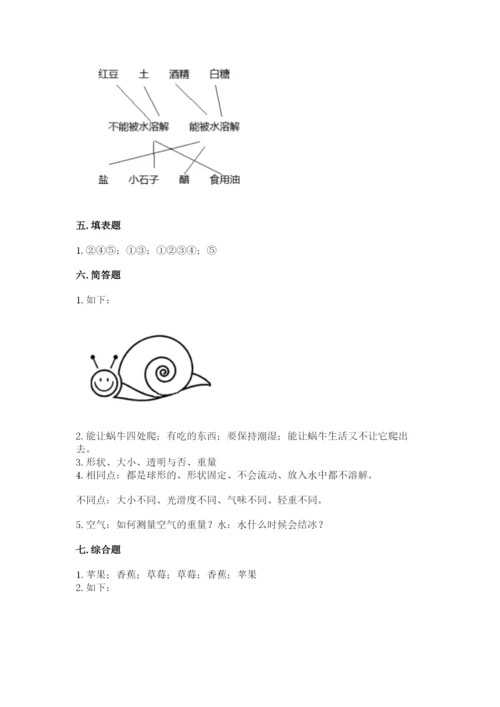 教科版小学科学一年级下册期末测试卷【夺分金卷】.docx