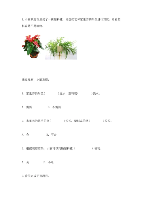 苏教版一年级下册科学期末测试卷新版.docx