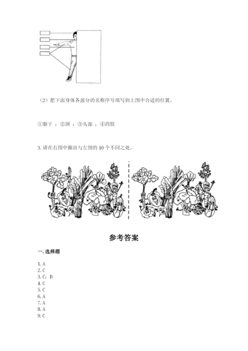 教科版二年级下册科学期末测试卷带答案（精练）.docx