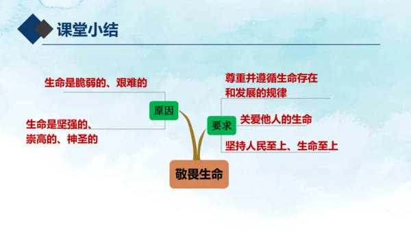 8.2敬畏生命 课件(共20张PPT)