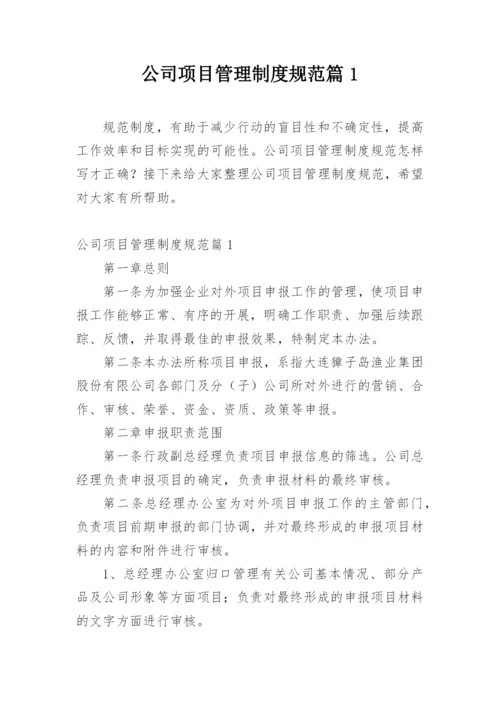 公司项目管理制度规范篇1.docx